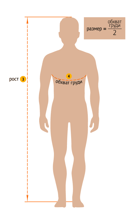 Чтоб узнать свой размер одежды SWW, измерьте обхват груди и поделите это число пополам